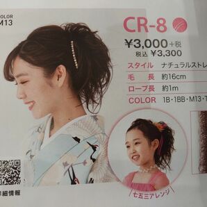 レオンカヘアピースcr8 T2