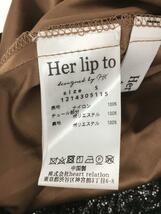Her lip to◆長袖ワンピース/S/ナイロン/BLK/1214305115_画像3