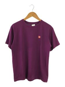 THE NORTH FACE◆S/S SMALL BOX LOGO TEE_ショートスリーブ スモール ボックス ロゴ ティー/L/ポリエステ