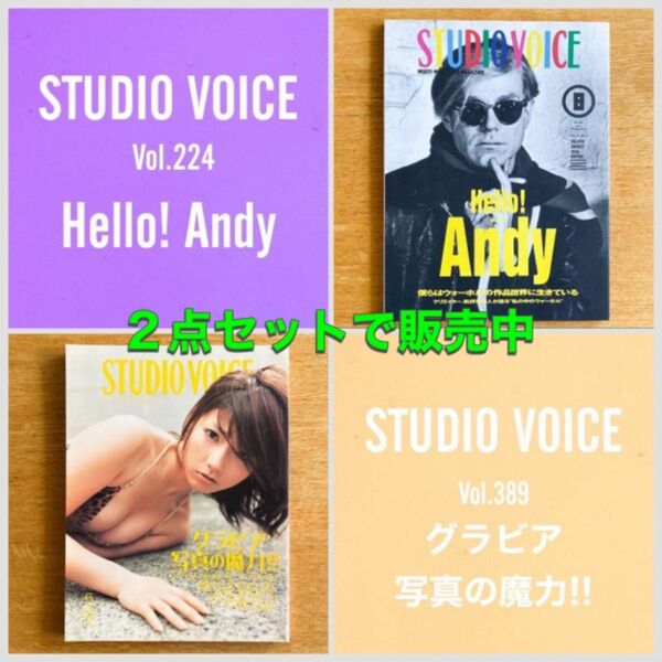 【最終価格】【2冊セット】スタジオ ヴォイス vol.224 特集 Hello! Andy/vol.389 グラビア写真