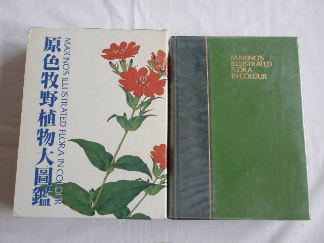 期間限定送料無料】 植物図鑑 北隆館刊 牧野富太郎訂 東京博物学研究会