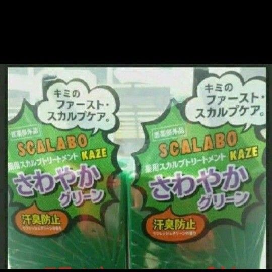 激安タイムセール 訳あり スカラボ スカルプTR KAZE 300ml2本セット