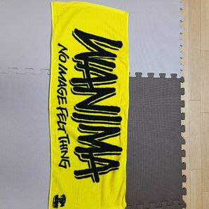 ピザオブデスロゴあり WANIMA ワニマ マフラータオル フェイスタオル　ライブ　フェス