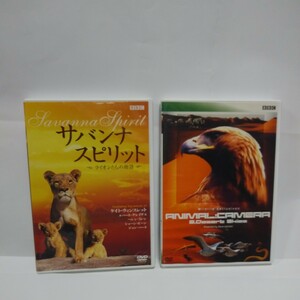 ①ANIMAL:CAMERA ② Savanna Spirit DVD2 листов 