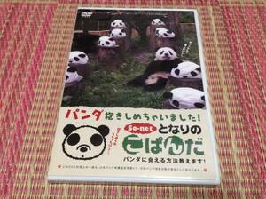 ◇動作OK◇となりのこぱんだ パンダ抱きしめちゃいました！ パンダに会える方法教えます DVD 国内正規品 so-net ブログ ワンワン 網網 即決