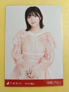 乃木坂46 中西アルノ 生写真 2023.May スペシャル衣装37 チュウ