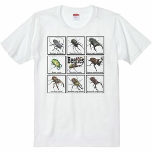 甲虫類（カブトムシの仲間たち）/半袖Ｔシャツ/メンズM/白・新品・メール便 送料無料