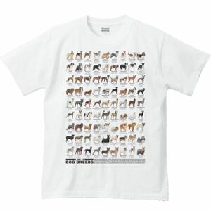 犬種リスト/半袖Ｔシャツ/メンズL(アウトレット)/白・新品・メール便 送料無料