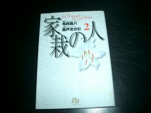 文庫漫画　家裁の人　２巻　毛利甚八　作魚戸おさむ　初版本