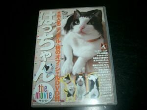 DVD　はっちゃん / ザ・ムービー　即決！お勧め　