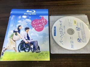 パーフェクトワールド 君といる奇跡 　Blu-ray　ブルーレイ　 岩田剛典 　 杉咲花　即決　送料200円　711