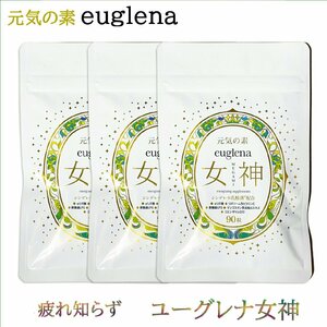 ユーグレナ女神 90粒×3 3か月分 妊婦OK 石垣島ユーグレナ使用 特許成分シンデレラ乳酸菌配合 マルチビタミン・コエンザイムQ10・LPS免疫