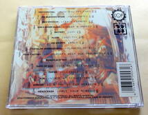 Cyber Core Compilation CDTreponem Pal Die Krupps Fear Factory　インダストリアル Industrial_画像2