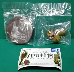 フォリキュラリス　密林の怪罠　食虫植物　不思議生物大百科　insectivorous plant　フィギュア