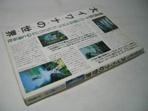 YHC26 大イワナの世界 源流の釣り 白石勝彦