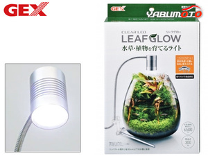 Gex Clear Lead Leaf Leaf Leaf Leaf Leaf