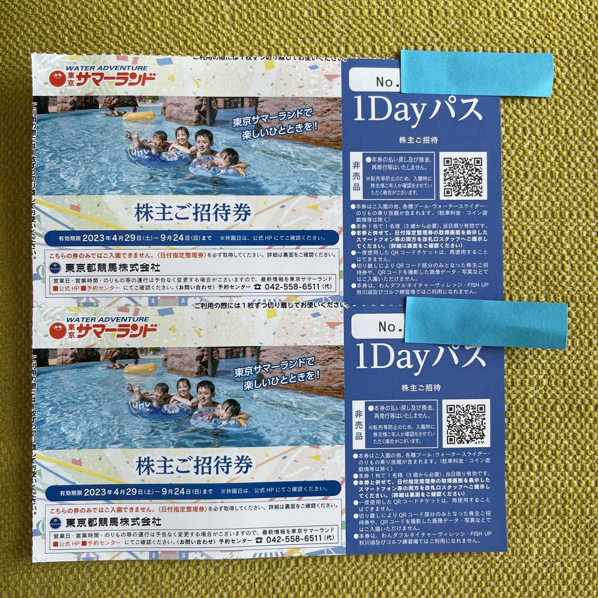 □東京サマーランドパスポートチケットプールも遊園地も無料！おまけ付