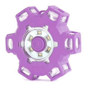 WAGAN FRED LIGHT PRO PURPLE フレッドライトプロ パープル 三角表示板の代用品