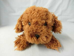  sun lemon knee ... toy poodle soft toy SS BR.... love appear depth 35 centimeter 