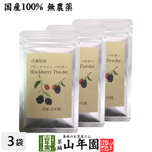  domestic production 100% Aomori prefecture production less pesticide no addition BlackBerry powder 40g×3 sack set ki strawberry polyphenol Anne to cyanin vitamin 