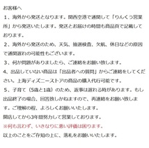 ぬいぐるみSSサイズ リーナベル ダッフィー 春日 スプリング 2023年 上海ディズニー 新品未使用 タグ付き ステラルー ジェラトーニ_画像3