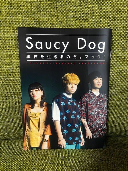 Saucy Dog バットリアリー インタビューブック