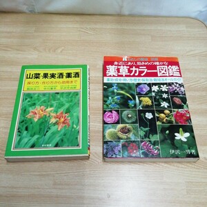 計2冊 薬草カラー図鑑 : 薬効・成分・用い方 山菜 果実酒 薬酒 採り方 作り方 栽培法 送料185円他