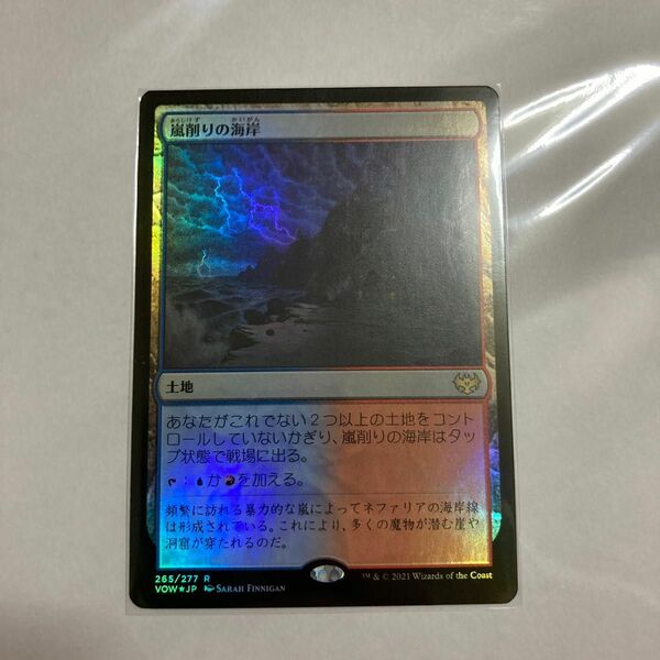 MTG 嵐削りの海岸 FOIL