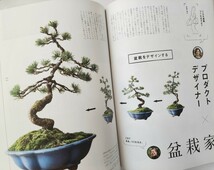 Discover Japan　2015.6 草花生活 盆栽　珍奇植物　一輪挿し_画像2