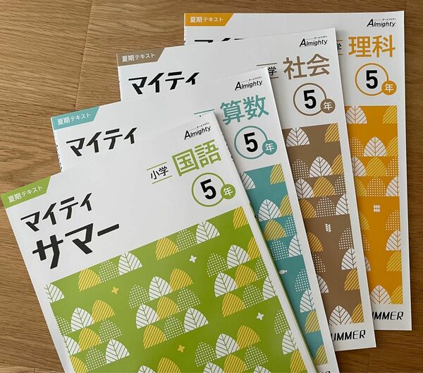 【塾用教材】小学5年　マイティサマー　国語　算数　理科　社会　4冊セット