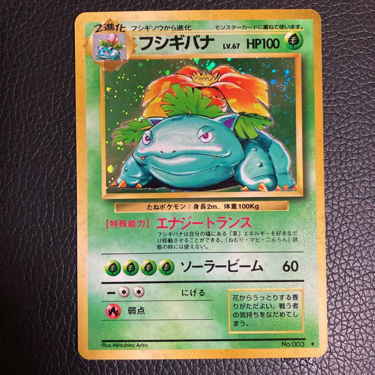 ヤフオク! -「ポケモンカード 旧 フシギバナ」の落札相場・落札価格