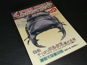 【古雑誌】「クワガタマガジン№31」特集：やっぱりドルクス属が主役 2006年 東海メディア刊/希少書籍/絶版/貴重資料