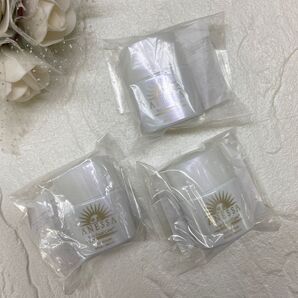 【トライアルサイズ3点】アネッサ デイセラム〈日中用美容乳液・化粧下地〉顔用
