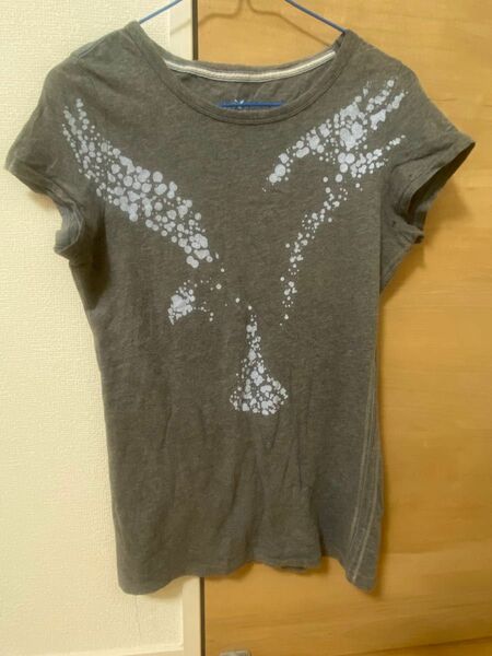 American Eagle Tシャツ