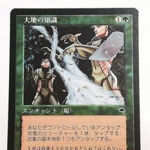 sB495o [人気] MTG 大地の知識 Earthcraft テンペスト TMP 緑 R レア 日本語版_画像4