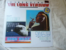 Sylvester With Patrick Cowley / Do Ya Wanna Fun 名曲 DISCO 12EP ヒットチューン 長尺バージョン Patrick Cowley / Mind Warp 収録 試聴_画像1