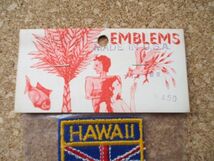 70s ハワイ HAWAII 州旗 ビンテージ刺繍ワッペン/FLAGサーフィンPATCH観光ルネラルーお土産スーベニア旅行アメリカUSAパッチSURF D13_画像3