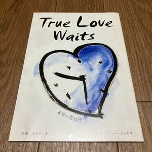 本当の愛は待つ True Love Waits まどかまこ/作画 ケニー・ジョセフ/協力 ICM Press キリスト教