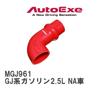 【AutoExe/オートエグゼ】 インテークサクションキット Bタイプ マツダ アテンザ GJ系ガソリン2.5L NA車 [MGJ961]