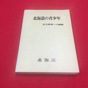 M6b-003 北海道の青少年 社会参加への躍動 昭和49年発行 社会 政治 資料 主体的社会参加 人口 教育 施設 北海道総務部青少年婦人事務局