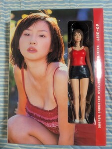  Sakai Wakana figure attaching photoalbum 