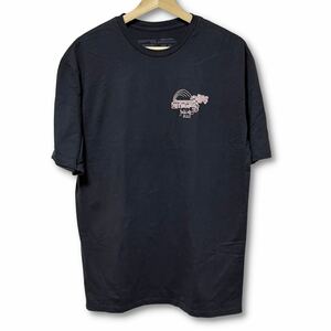 【限定品】Patagonia kakaako ハワイ限定 Tシャツ 日本未発売