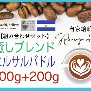 自家焙煎豆 お楽しみ組合せセット 大容量400g カクレガ珈琲人気商品贈り物に