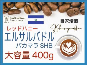 自家焙煎珈琲　エルサルバドル　パカマラSHGレッドハニー希少　400g 珈琲