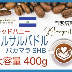 自家焙煎珈琲　エルサルバドル　パカマラSHGレッドハニー希少　400g 珈琲　