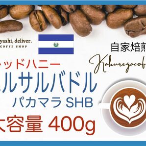 自家焙煎珈琲 エルサルバドル パカマラSHGレッドハニー希少 400g 珈琲