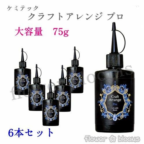 【6本セット】75ｇ ケミテックUV-LED レジン液 クラフトアレンジPro(プロ)
