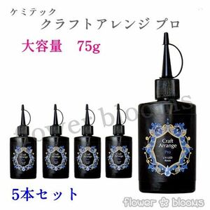 【5本セット】75ｇ ケミテックUV-LED レジン液 クラフトアレンジPro(プロ)