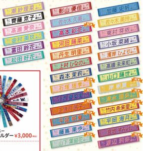 日向坂46 正源司陽子 君しか勝たん 推しメンマフラータオル 新品未開封品 数量2 検)幕張 One choice ミーグリ