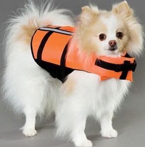 ライフジャケット 犬の値段と価格推移は 337件の売買情報を集計したライフジャケット 犬の価格や価値の推移データを公開 ライフジャケット 犬の値段と価格推移は 337件の売買情報を集計したライフジャケット 犬の価格や価値の推移データを公開